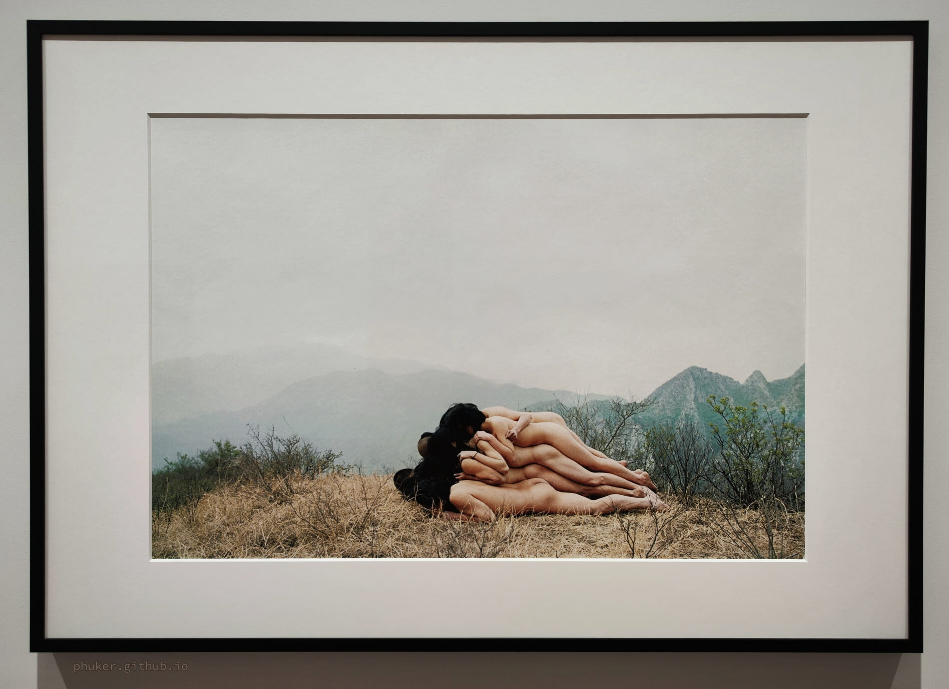 为无名山增高一米 | 张洹 | 1995