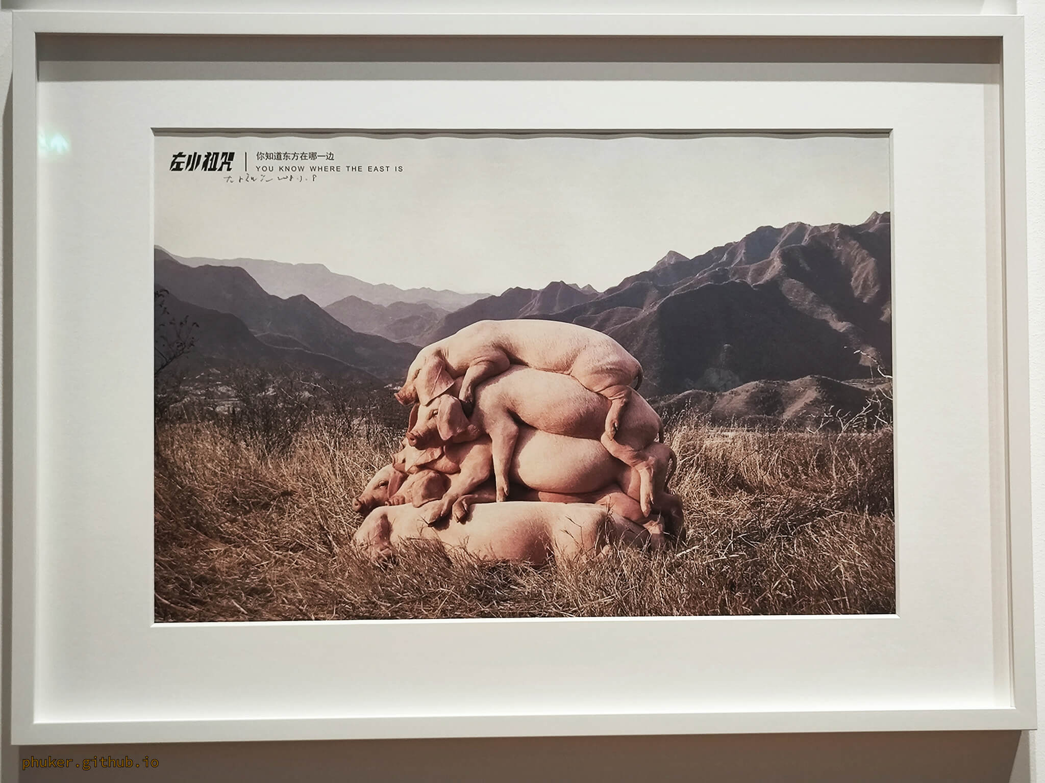 我也爱当代艺术 | 左小祖咒 | 2008