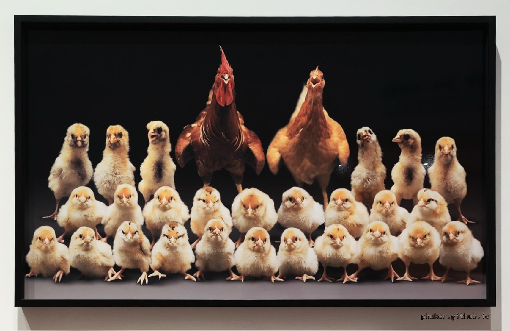 全家福 I | 杨振中 | 1995