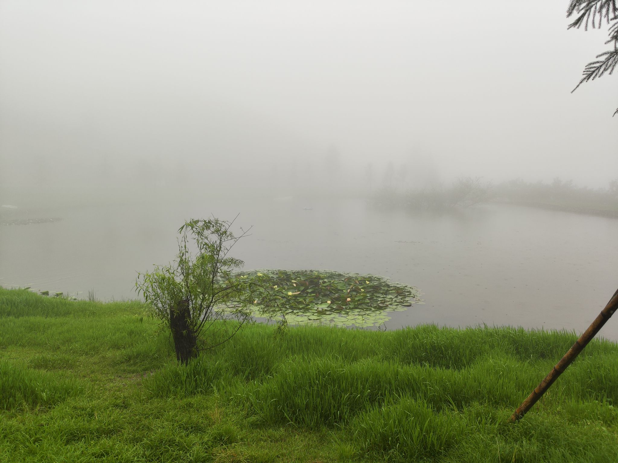 雾中的仰天湖 | 湖南 郴州 仰天湖大草原